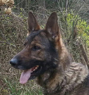 heidi1_24mar2014.jpg