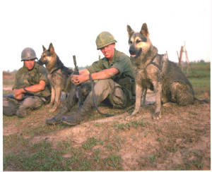 militarydogvietnam206.jpg