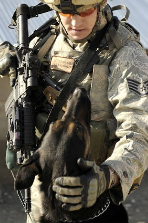 militaryworkingdog91b3fb91aa760f76eab36eeff3eed0a1.jpg