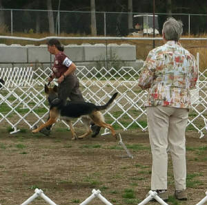 sassyrn2ndleg20150808_093238_023-1-1.jpg