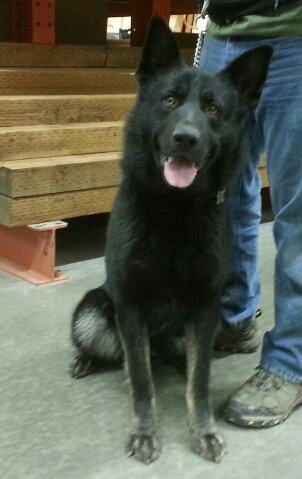 ajax4_4jan2014.jpg