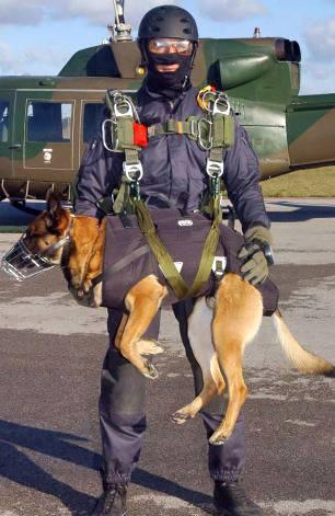 belmal_skydivedd2-50569301506.jpg