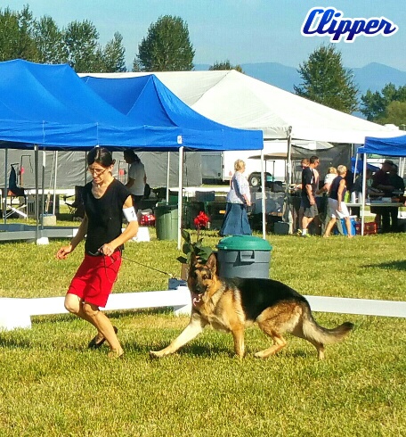 clippersara20160826_170821-1-1-picsay_resized_1.jpg