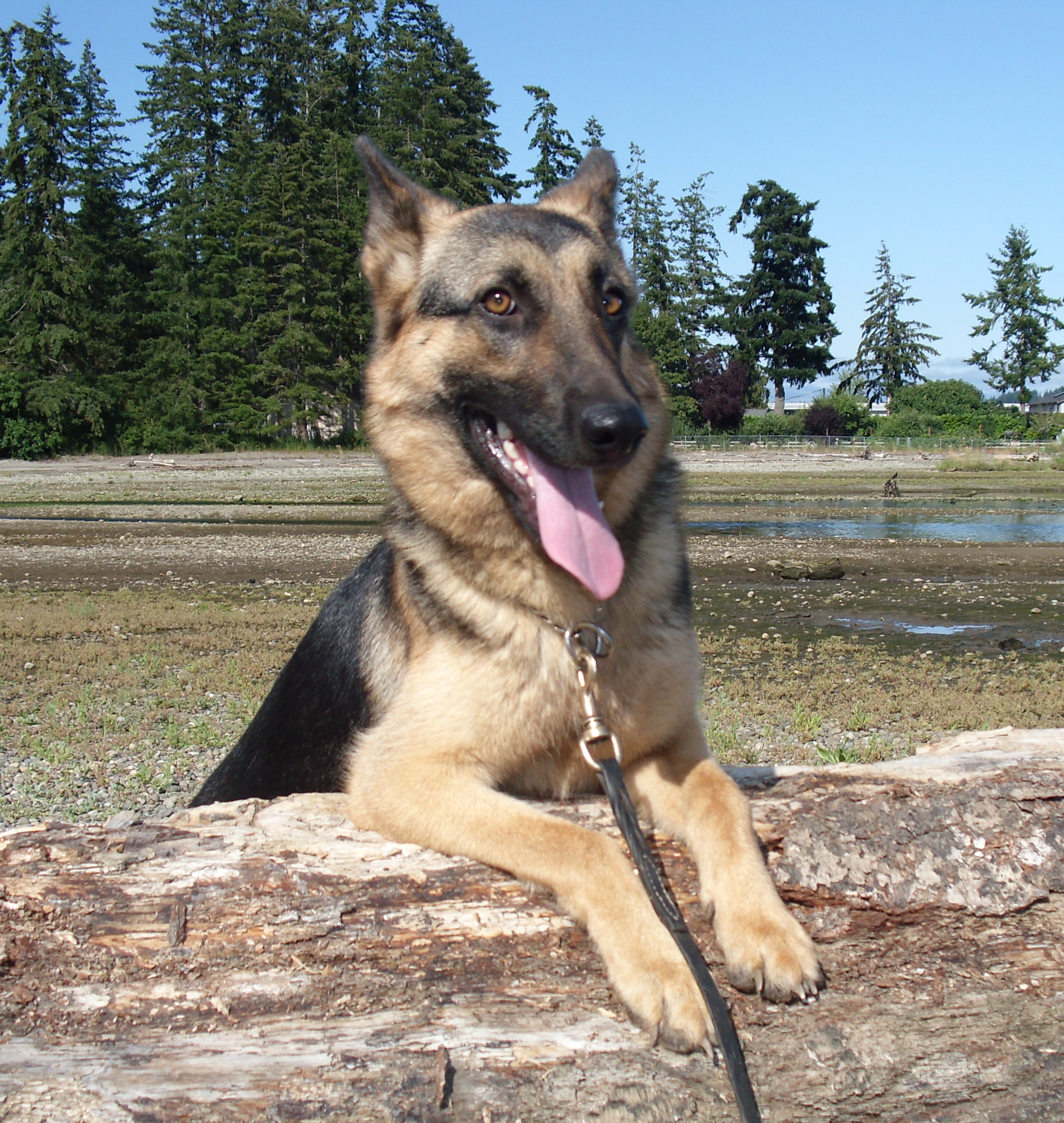 elsa09dsci0508.jpg