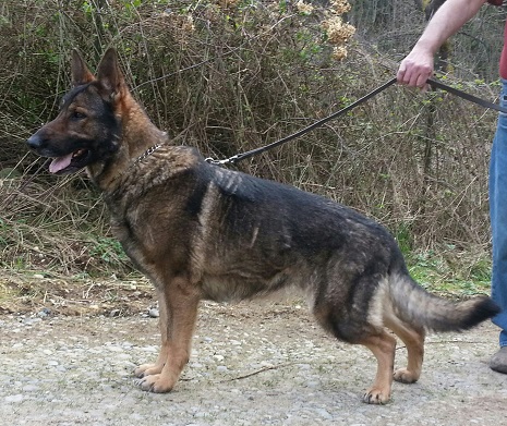heidi3_24mar2014.jpg