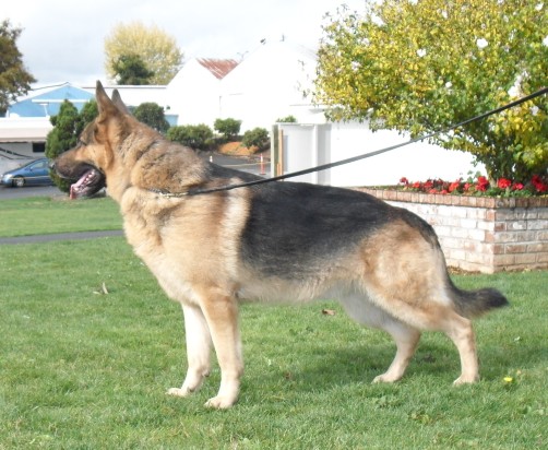 simba18oct09i1130.jpg